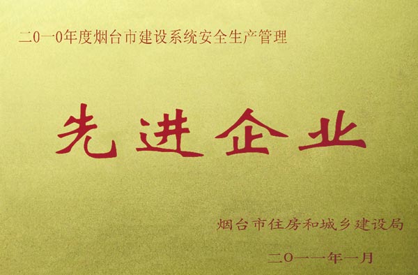 2011年先进企业